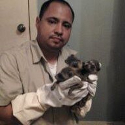 Houston Wildlife Removal Experts